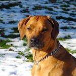 Bild00