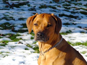 Bild00