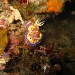 Underwater