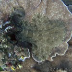 PIC_0178_01
